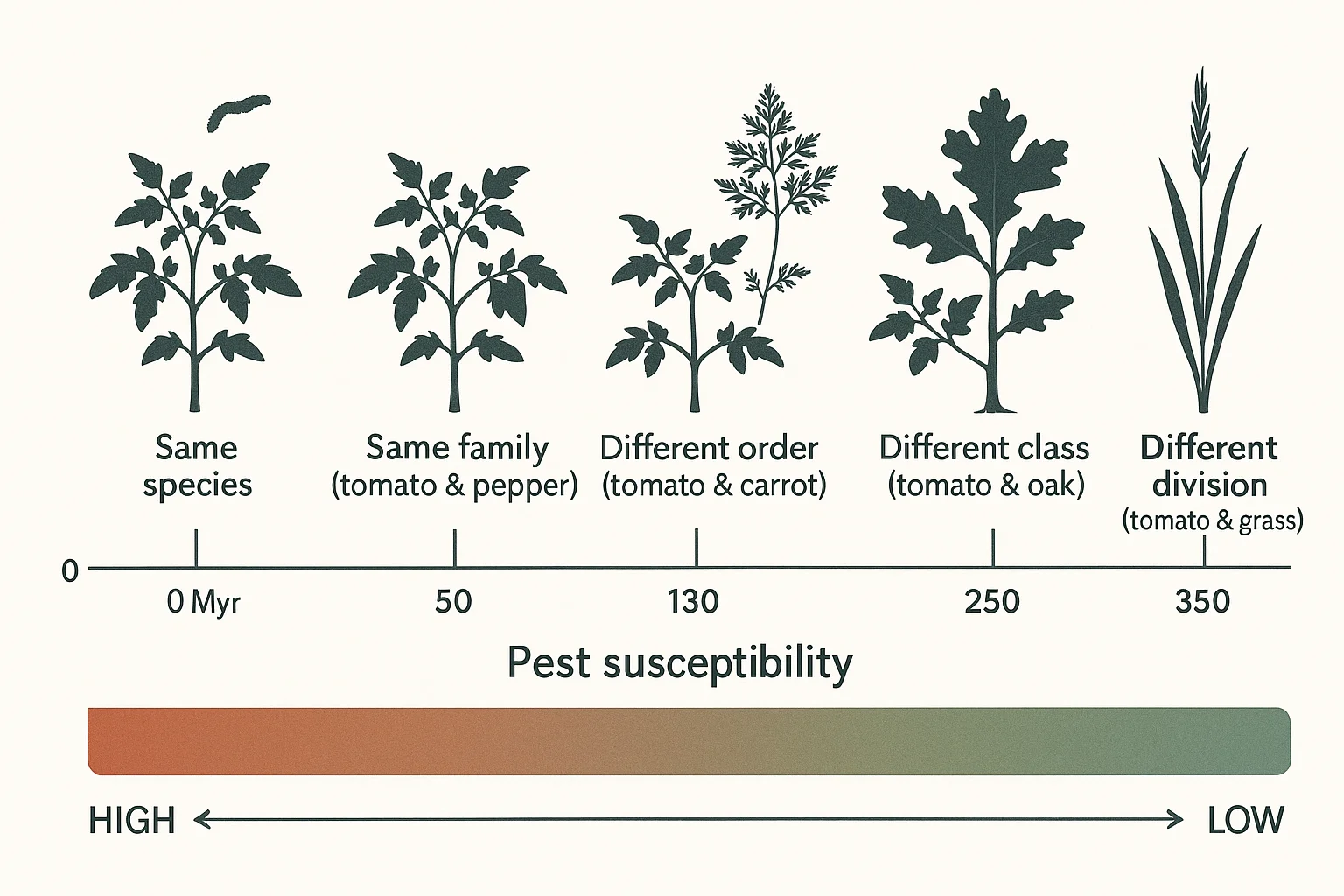 A horizontal timeline from 0 to 400 million years showing paired plant examples at each distance: same species, same genus (tomato–potato), same family (tomato–pepper), different order (tomato–carrot), different division (tomato–grass). A gradient bar shows pest susceptibility decreasing left to right.
